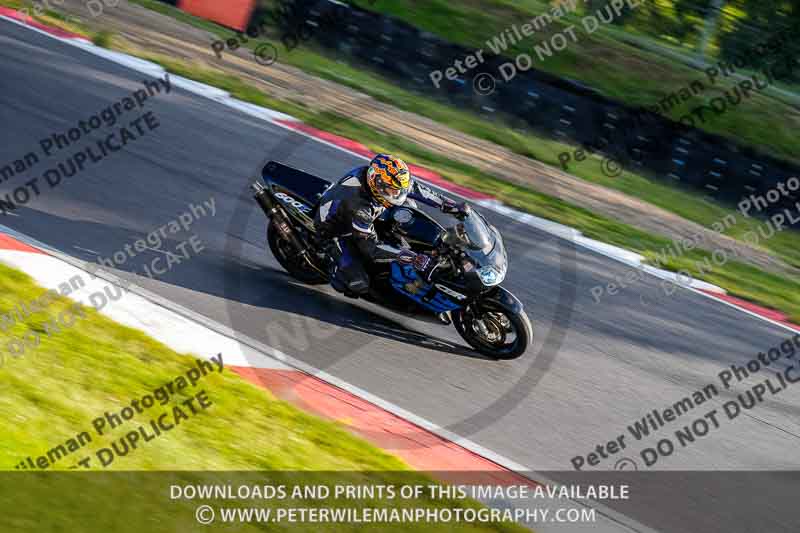 brands hatch photographs;brands no limits trackday;cadwell trackday photographs;enduro digital images;event digital images;eventdigitalimages;no limits trackdays;peter wileman photography;racing digital images;trackday digital images;trackday photos